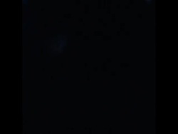 SYND 31 1 78 SECOND DAY OF MALTA TALKS ON RHODESIAN SETTLEMENT News Clip