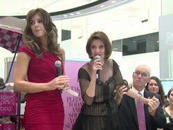 SPEECH: Elizabeth Hurley and Evelyn Lauder discuss pledging to helping all women become aware of doing self examinations Ã‰ Stock Footage