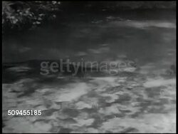 1936: FLORIDA STREAM: MS Stream, possibly from spring. Instructional Video