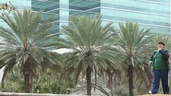 Heavy Hispanic man power walking with hand weights Stock Footage