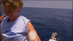 Tagging tuna to track numbers News Clip