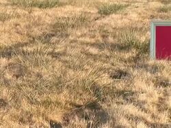 HD: Message Board On A Meadow Stock Footage