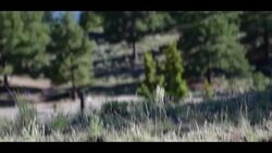 Twin Lake Colorado Wilderness Camping Trip Pan across Amazing Landscape Stock Footage