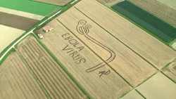 Artist creates drawing of Ebola virus with a tractor News Clip
