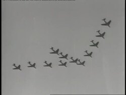 Royal Air Force airplanes fly in formation. News Clip