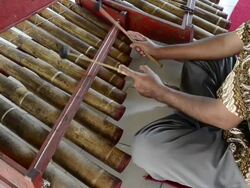 MS Man playing traditional Bamboo Gamelan music AUDIO / Ubud, Bali, Indonesia Stock Footage