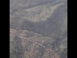 SYND23/02/71 SOUTH VIETNAMESE FORCES CONTINUE ADVANCE INTO LAOS News Clip