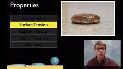 Intermolecular Forces Instructional Video