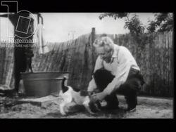 Old man gets ready in the morning and goes to the shops. France, 1960 Stock Footage