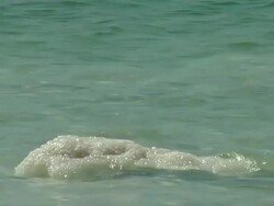 Salt - dead sea Stock Footage