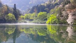 Wet fog moving over Seryangji lake(Reservoir in the Hwasun) Stock Footage