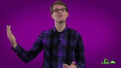 Why Do Koalas Hug Trees? Instructional Video