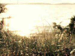 Shoreline Stock Footage