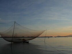 WS Traditional Fishing Net Hoisted Above Water at Sunset / Vietnam Stock Footage