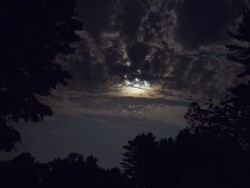 Full mon with trees and clouds Stock Footage