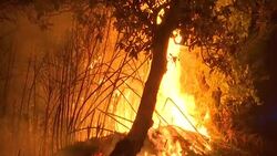 Wildfires burn across Portugal Instructional Video