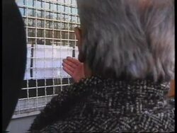 ALBANIA: PRESIDENT SALI BERISHA'S REACTION TO COLLAPSE OF 4 FUNDS News Clip