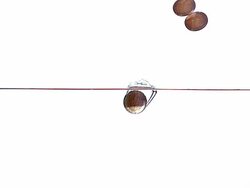 Two euro coins falling into water against white background, slow motion Stock Footage