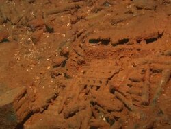 Sankisan, Bullets on bottom, Chuuk Lagoon, South Pacific  Stock Footage
