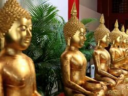 Pull focus on Buddha statues, Singapore Stock Footage