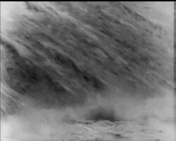 WATER WORLD: News Clip