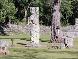 WS View of copan / Copan, Honduras Stock Footage