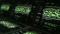 ADN Analysis Interface Monitors Stock Footage