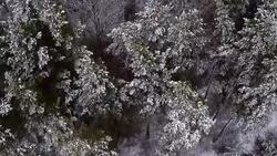 AERIAL: Snow falling on treetops Stock Footage