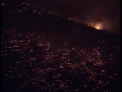 GREECE: FIREFIGHTERS STRUGGLE TO STAMP OUT MASSIVE FOREST FIRE Instructional Video