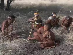 Ju hoansi San Bushmen of Nyae Nyae digging for edible roots, Namibia Stock Footage