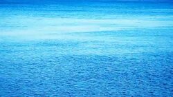 Calm sea in early morning Stock Footage