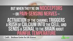 3 Senses You Didn't Know You Had Instructional Video