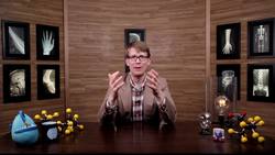 Sympathetic Nervous System: Crash Course A&P Instructional Video