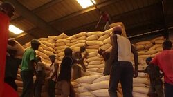 CLEAN : Zambia suspects export of maize over food security fears News Clip