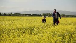 competing businessmen Stock Footage