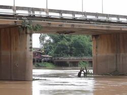 Timber under the bridge. Stock Footage