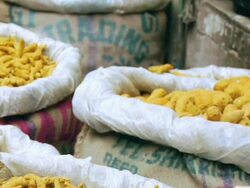 MS TD Turmeric in sack / New Delhi, India Stock Footage