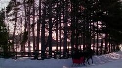 Horse and sleigh in the snow, 1908 - reenactment, clip 2 Stock Footage