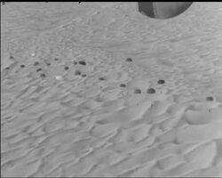 THE FRENCH CRISIS News Clip