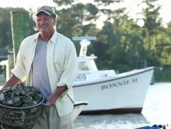 MS PAN Portrait of Smiling Waterman Holding Basket of Fresh Oysters / Oyster, Virginia, USA Stock Footage