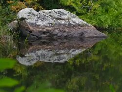 Green reflections 2 Stock Footage