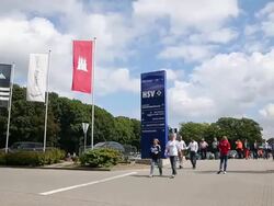 Hamburger SV v 1899 Hoffenheim - Bundesliga Stock Footage