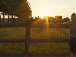 HD: Female Rancher Watching Horses Stock Footage