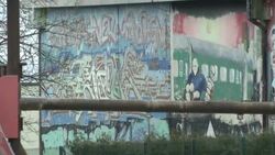 Fear of unknown, links to far-right spark support for anti-Islam protests News Clip