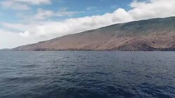 Whale-watching shots off the coast of off the coast of Isla del Meridiano in the Canary Islands News Clip