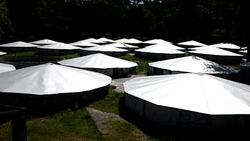 CLEAN : Crocodiles starve after US freezes elite Honduras family assets News Clip