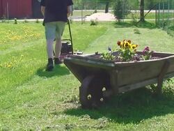 Lawn Mower Stock Footage