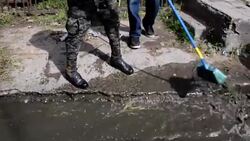 CLEAN : Hondurans mobilize to wipe out Zika News Clip