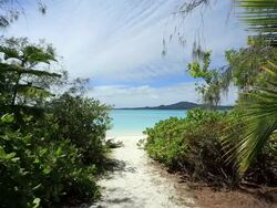 HD Video of Pines Island, New caledonia (ile des pins) Stock Footage