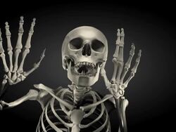 (Loop + Alpha) Halloween, Spokesman Skeleton Stock Footage